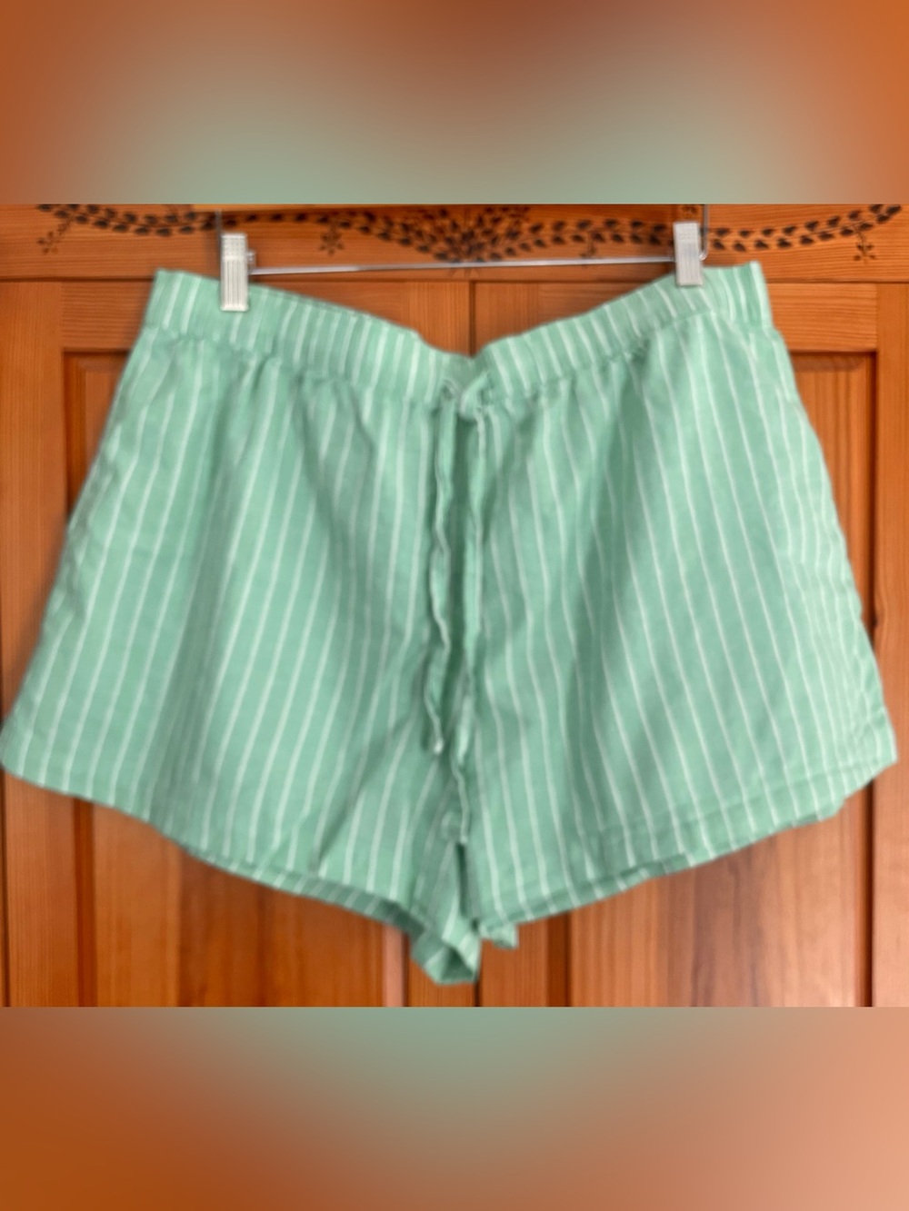 Women’s XL GAPbody lightweight cotton poplin shorts mint striped college preppy